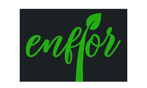 LOGOTIPO-ICON